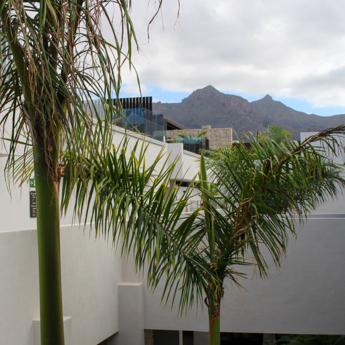 Apartment 408 – Corales Villas