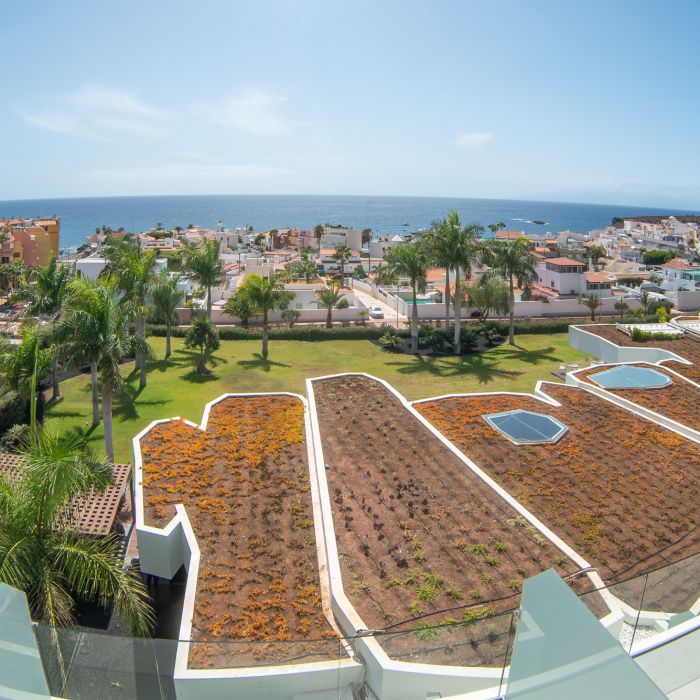 Junior Suite 2324 – Corales Beach